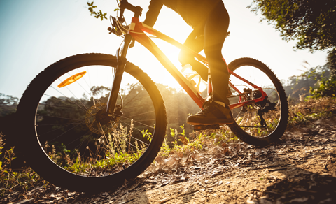 2021自行車旅遊年─自行車旅遊網