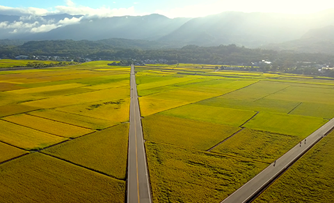 台灣高鐵車上刊物《TLife》